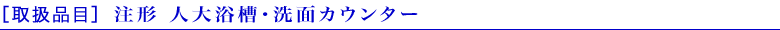 注形 人大浴槽・洗面カウンター